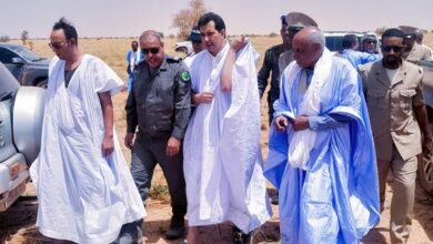 صورة والي الولاية يشرف على إنطلاق الحملة الزراعية المطرية للموسم 2023 المنظمة من طرف الجهة
