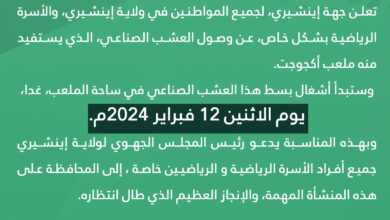 صورة جهة إينشيري تعلن عن وصول العشب الاصطناعي المخصص لملعب أكجوجت